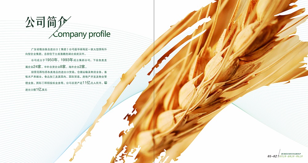 廣州油糧食品畫(huà)冊(cè)設(shè)計(jì)-廣州食品類(lèi)畫(huà)冊(cè)設(shè)計(jì)公司