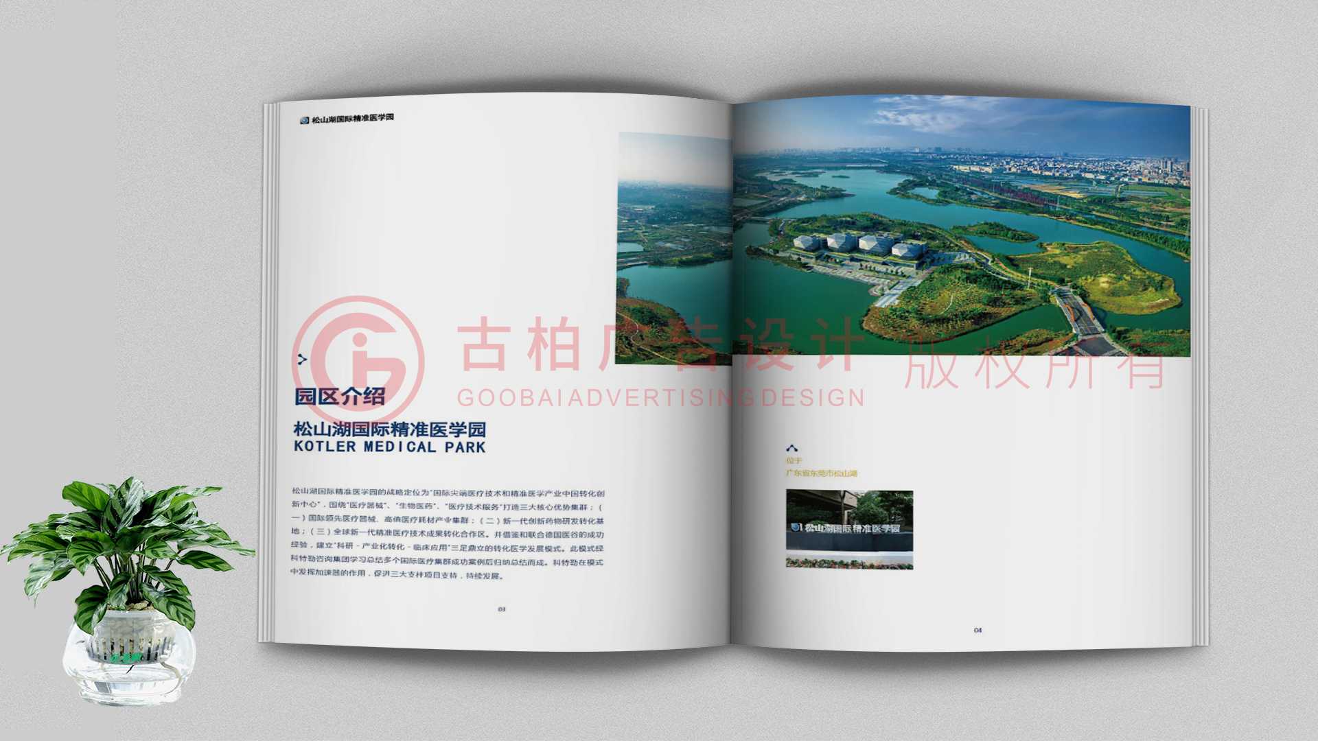 一本聚會(huì)紀(jì)念冊(cè)該如何通過排版來提升整體的美觀性？
