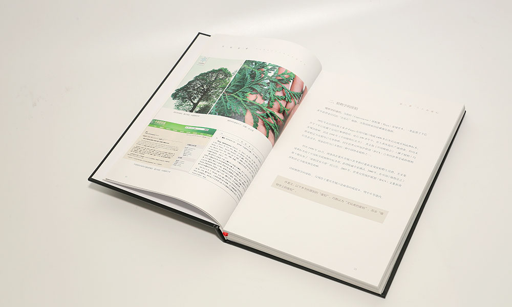 怎么學(xué)畫冊設(shè)計(jì)制作多大合適？
