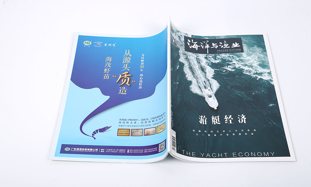 設(shè)計畫冊價格比較劃算？